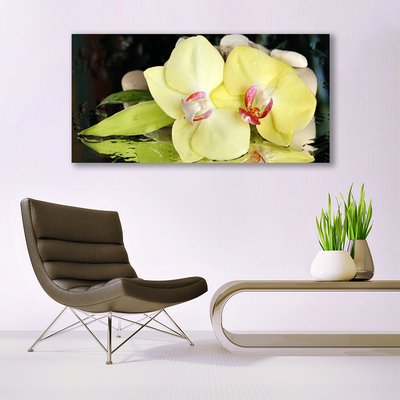 Foto op canvas Orchidee bloemblaadjes