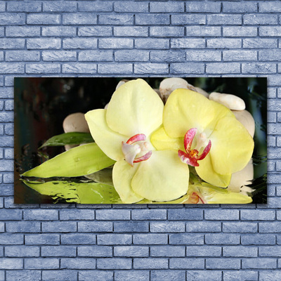 Foto op canvas Orchidee bloemblaadjes