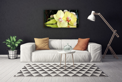 Foto op canvas Orchidee bloemblaadjes