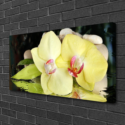 Foto op canvas Orchidee bloemblaadjes