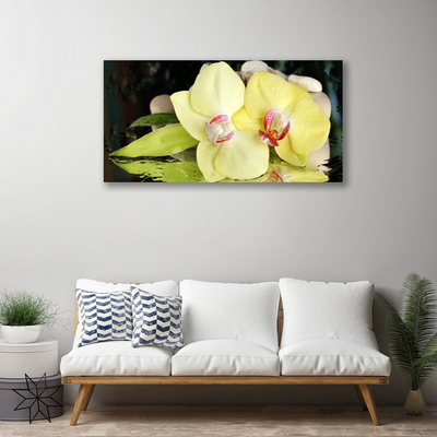 Foto op canvas Orchidee bloemblaadjes