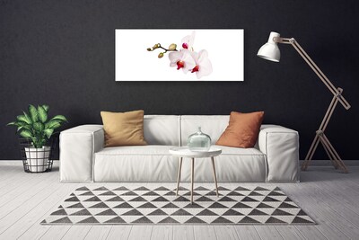 Foto op canvas Orchideebloemen nature