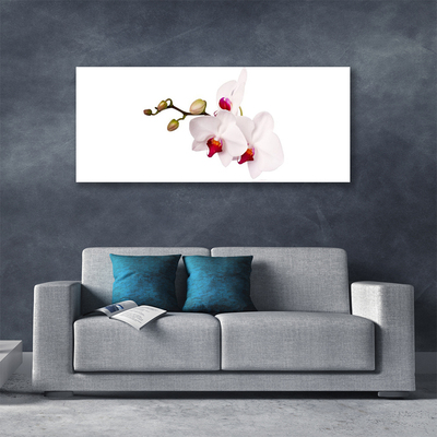 Foto op canvas Orchideebloemen nature