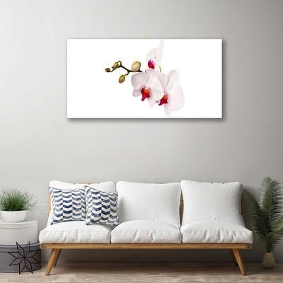 Foto op canvas Orchideebloemen nature