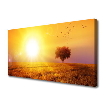 Foto op canvas Sunset weidevogels