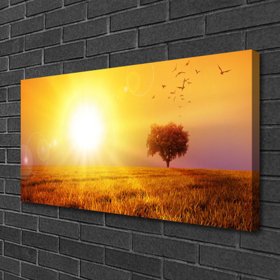 Foto op canvas Sunset weidevogels