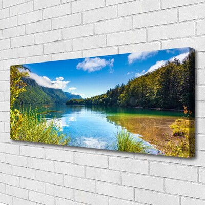 Foto op canvas Natuur bergen forest lake