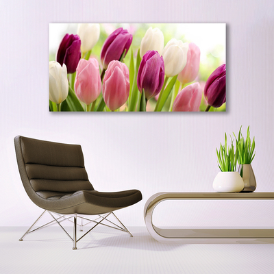 Foto op canvas Tulpen bloemen nature meadow