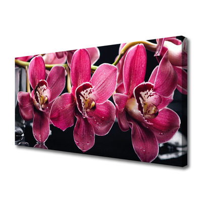 Foto op canvas Orchideebloemen nature shoots