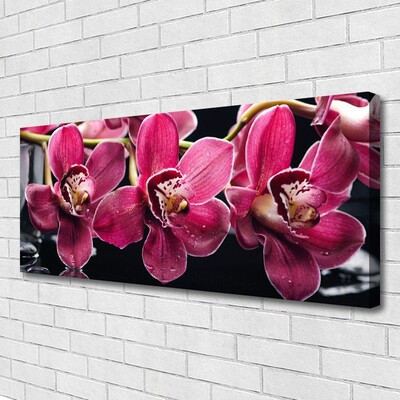 Foto op canvas Orchideebloemen nature shoots