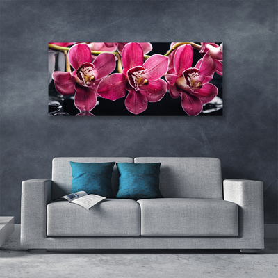 Foto op canvas Orchideebloemen nature shoots