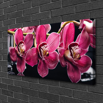 Foto op canvas Orchideebloemen nature shoots