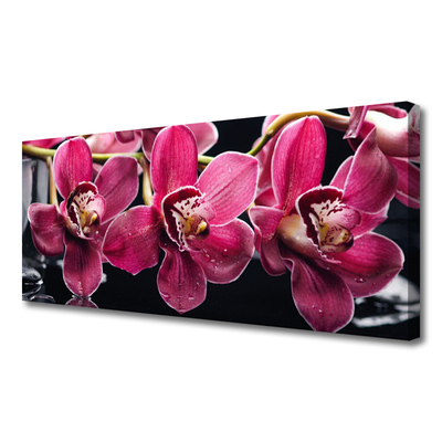 Foto op canvas Orchideebloemen nature shoots