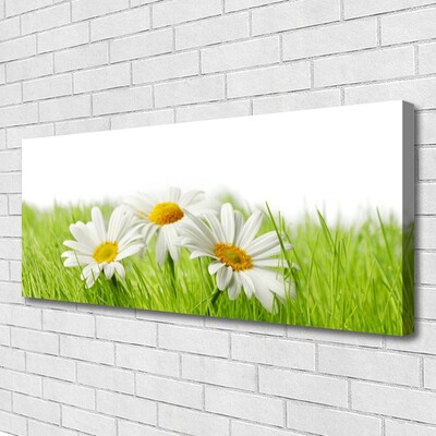 Foto op canvas Daisy flowers plant