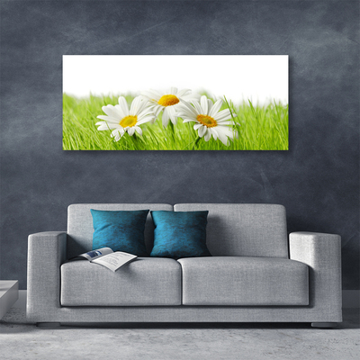 Foto op canvas Daisy flowers plant