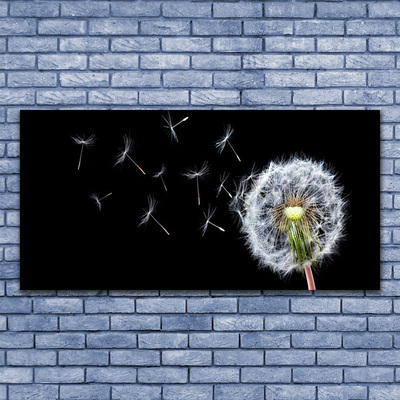 Foto op canvas Paardenbloemen bloemen nature