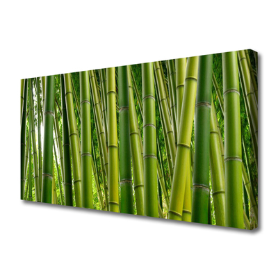 Foto op canvas Bamboo shoots bamboo forest