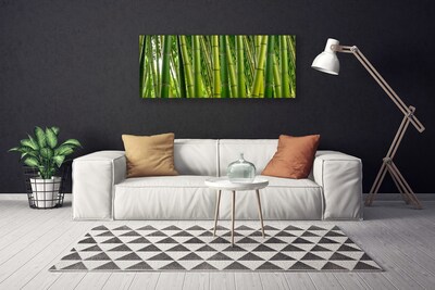 Foto op canvas Bamboo shoots bamboo forest