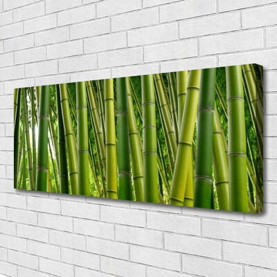 Foto op canvas Bamboo shoots bamboo forest