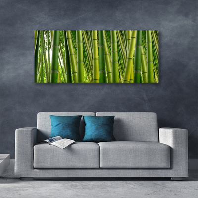 Foto op canvas Bamboo shoots bamboo forest