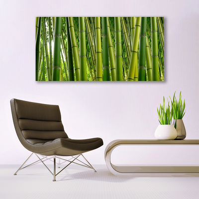 Foto op canvas Bamboo shoots bamboo forest