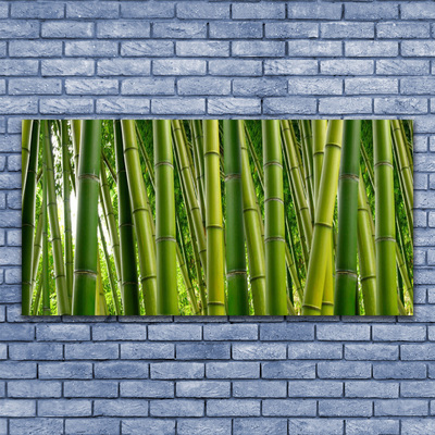 Foto op canvas Bamboo shoots bamboo forest