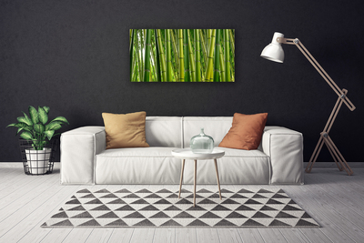 Foto op canvas Bamboo shoots bamboo forest