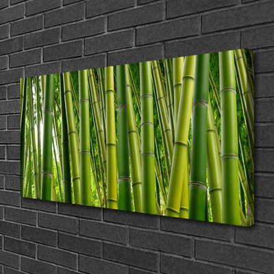 Foto op canvas Bamboo shoots bamboo forest