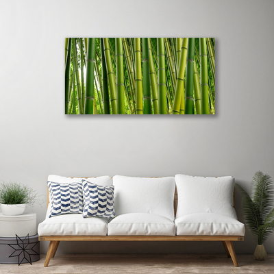 Foto op canvas Bamboo shoots bamboo forest