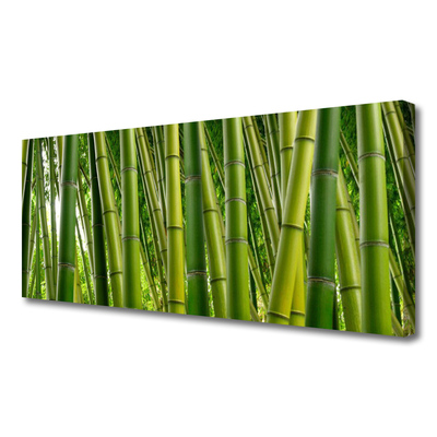 Foto op canvas Bamboo shoots bamboo forest