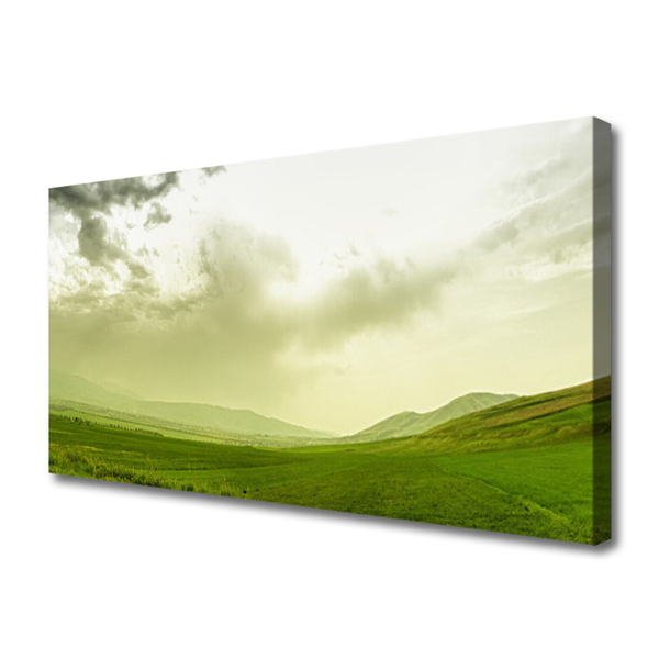Foto op canvas Nature green meadow view