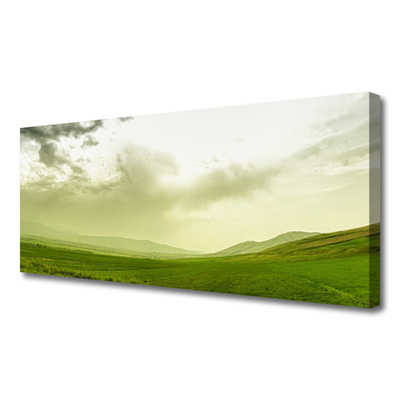 Foto op canvas Nature green meadow view