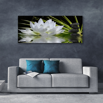 Foto op canvas Water lily bloemen