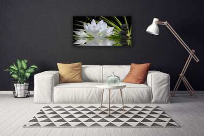 Foto op canvas Water lily bloemen