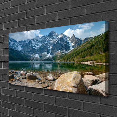 Foto op canvas Tatragebergte forest lake