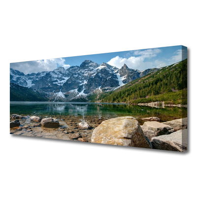 Foto op canvas Tatragebergte forest lake