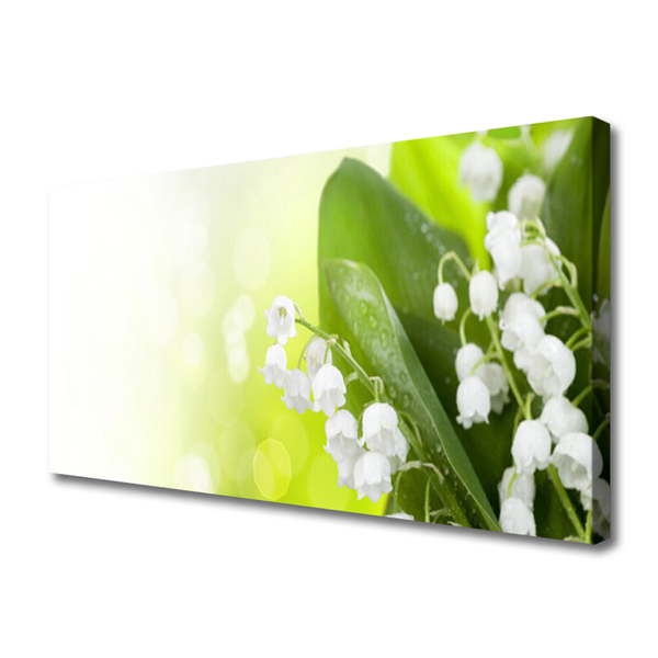 Foto op canvas Bladeren bloemen lelies van de vallei weide