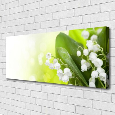 Foto op canvas Bladeren bloemen lelies van de vallei weide