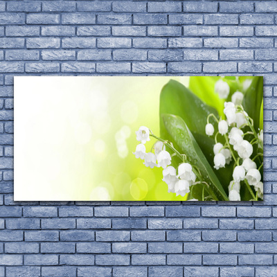 Foto op canvas Bladeren bloemen lelies van de vallei weide