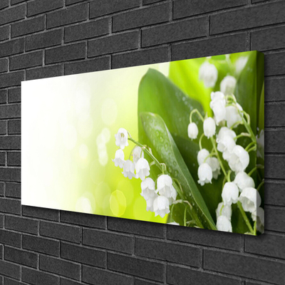 Foto op canvas Bladeren bloemen lelies van de vallei weide