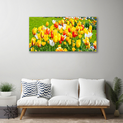 Foto op canvas Tulpen bloemen nature