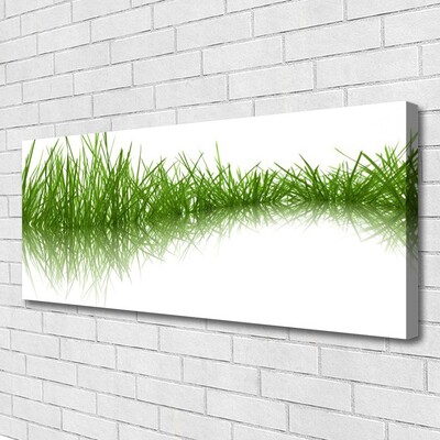 Foto op canvas Grass nature plant