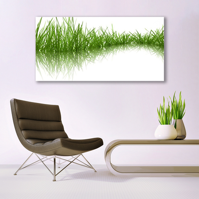 Foto op canvas Grass nature plant