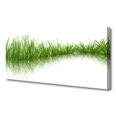 Foto op canvas Grass nature plant