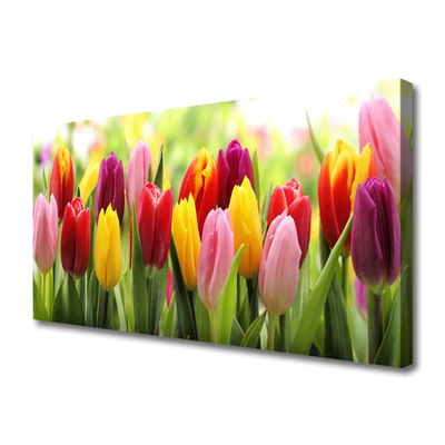 Foto op canvas Tulpen bloemen nature