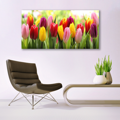 Foto op canvas Tulpen bloemen nature