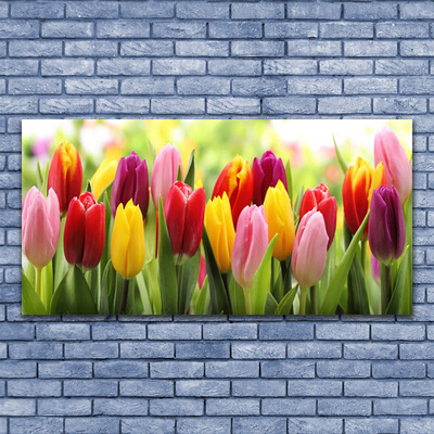 Foto op canvas Tulpen bloemen nature