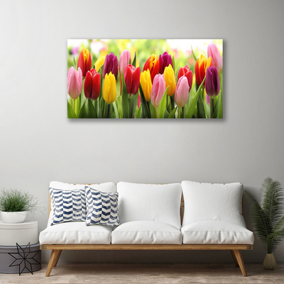 Foto op canvas Tulpen bloemen nature