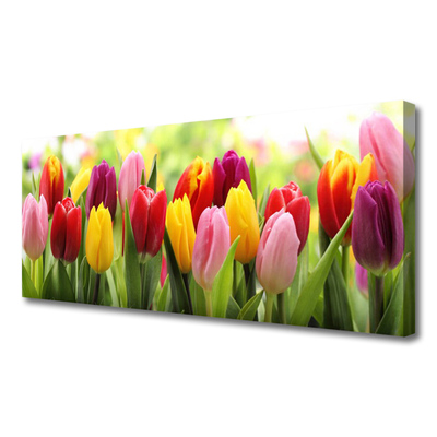 Foto op canvas Tulpen bloemen nature