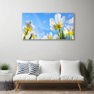 Foto op canvas Planten bloemen tulips